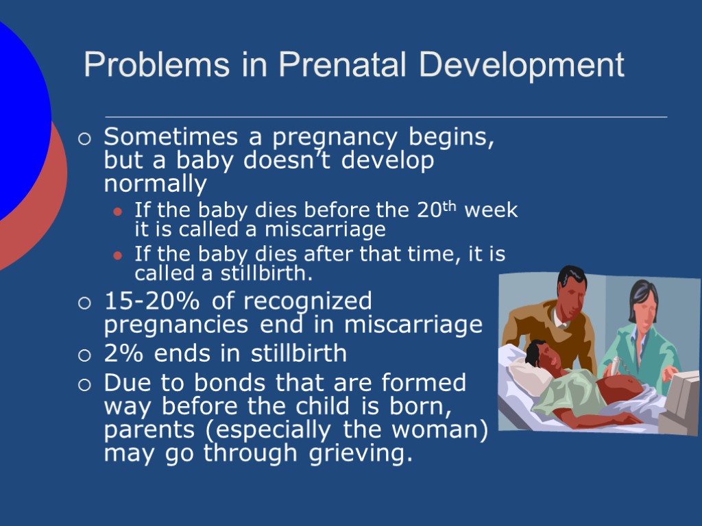Problems in Prenatal Development Sometimes a pregnancy begins, but a baby doesn’t develop normally
